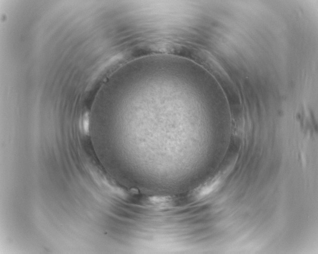 X0000088860095200706221736