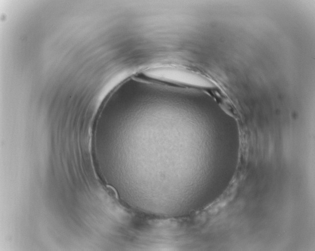 X0000088860100200706221735