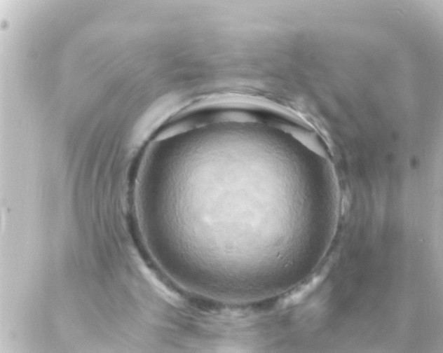 X0000088860101200706221735