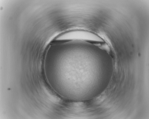 X0000088860108200706221735