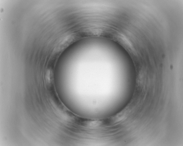 X0000088860122200706221734