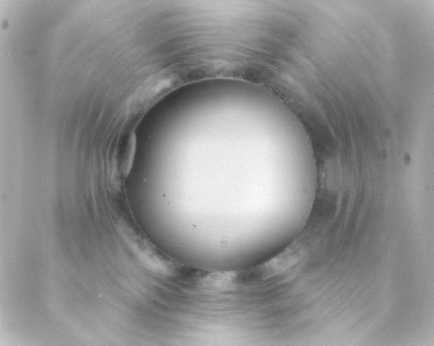 X0000088860138200706221734