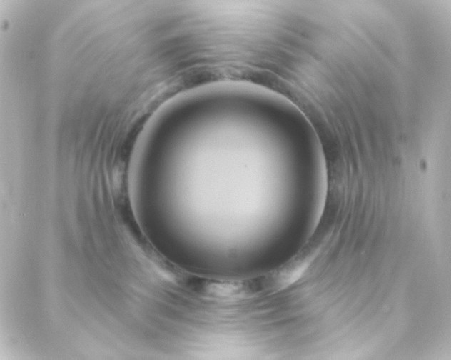 X0000088860139200706221734