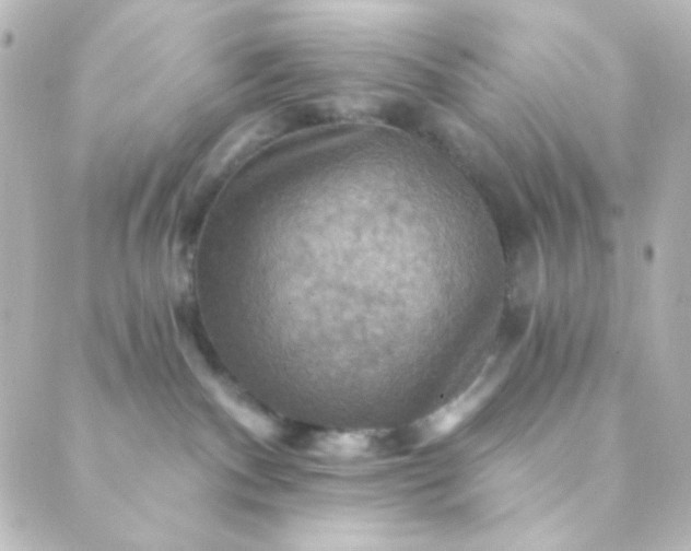 X0000088860140200706221734