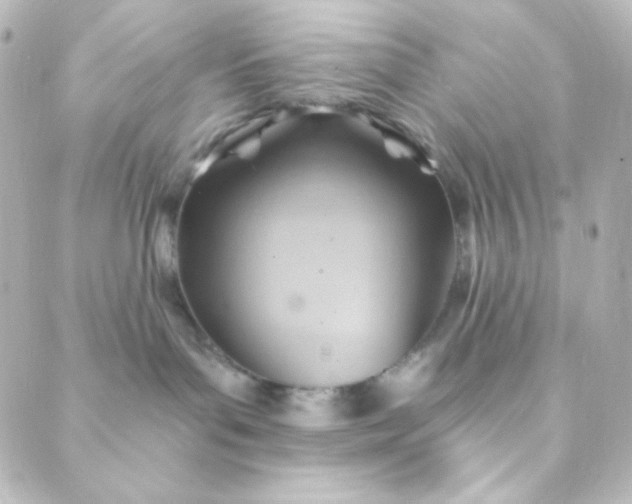 X0000088860143200706221734