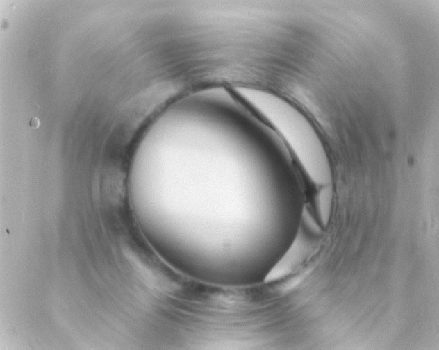 X0000088860164200706221734