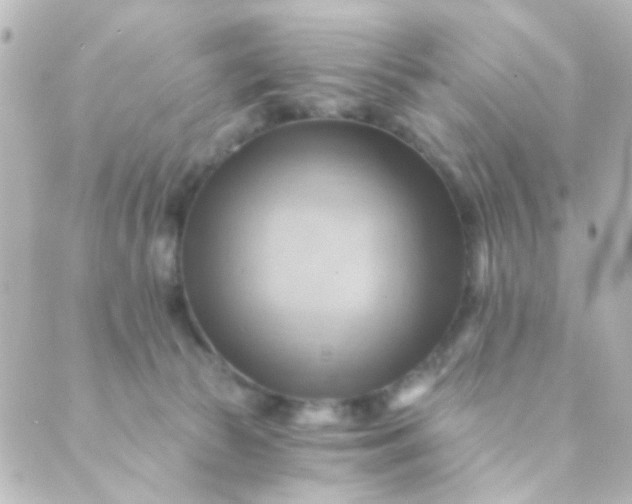 X0000088860177200706221734