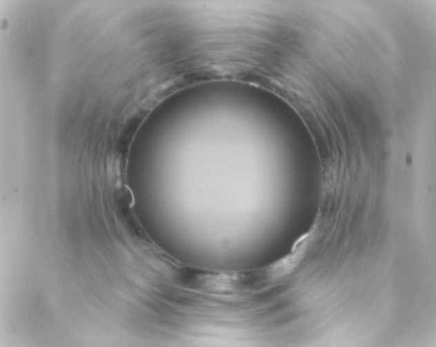 X0000088860182200706221734