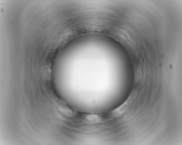 X0000088860183200706221734