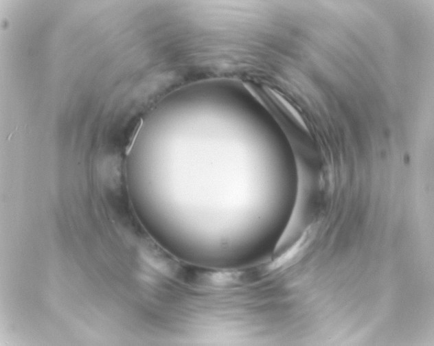 X0000088860184200706221734