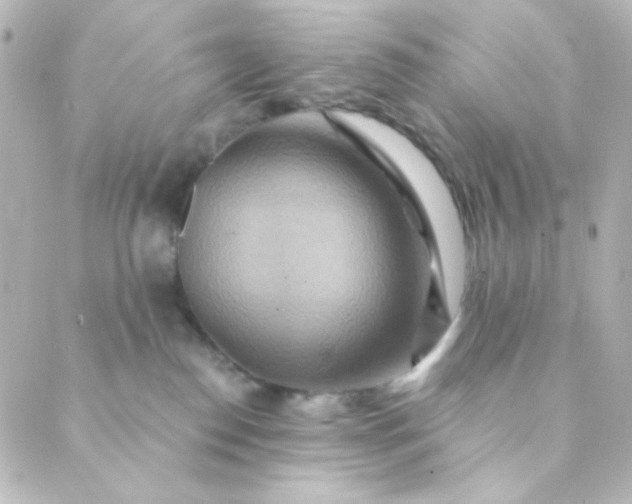 X0000088860186200706221734