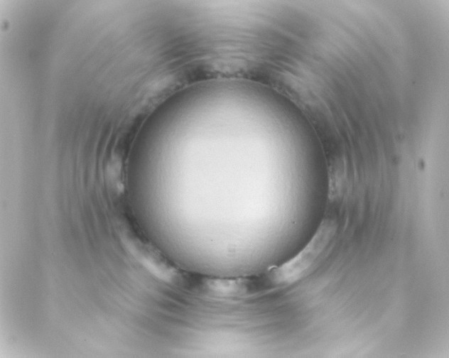 X0000088860187200706221734