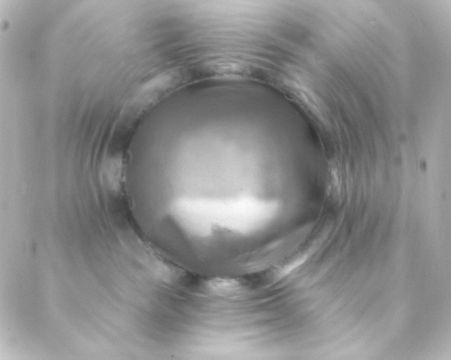 X0000088860189200706221734