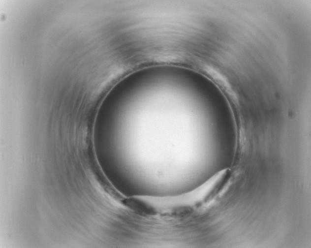 X0000088860201200706221733