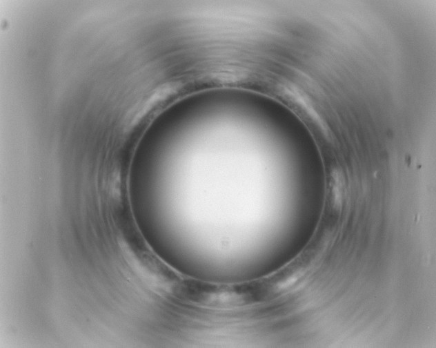 X0000088860212200706221733
