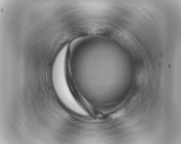X0000088860219200706221733