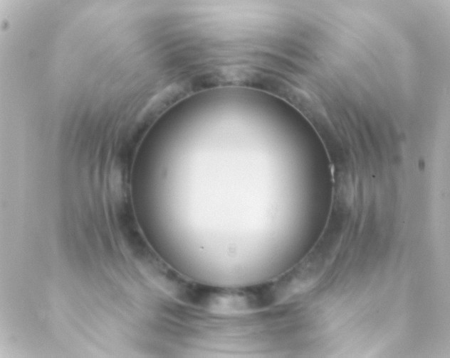 X0000088860220200706221733