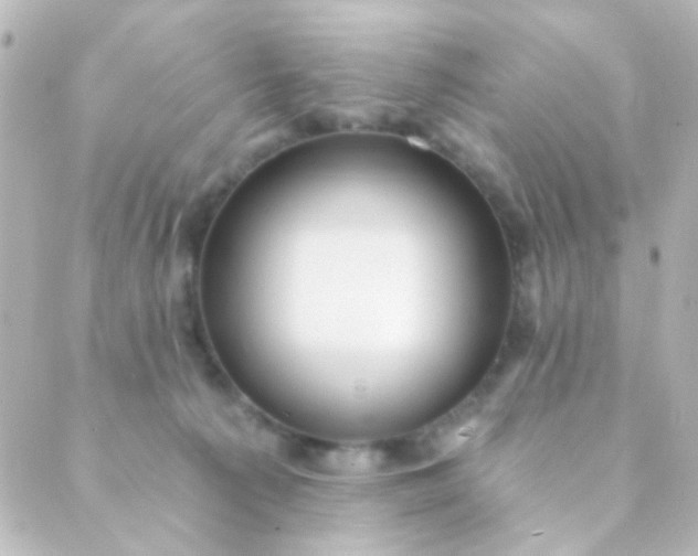 X0000088860225200706221733