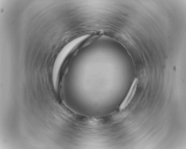 X0000088860229200706221733