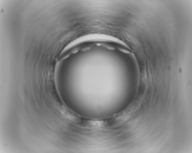 X0000088860233200706221733