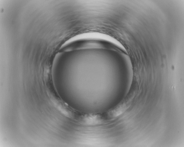 X0000088860235200706221733