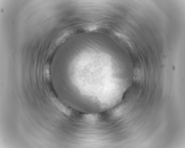 X0000088860238200706221733