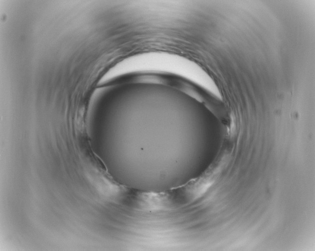 X0000088860239200706221733