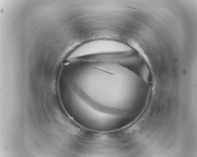 X0000088860249200706221732
