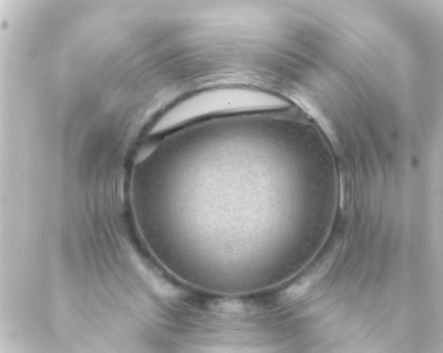 X0000088860253200706221732