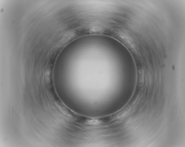 X0000088860269200706221732