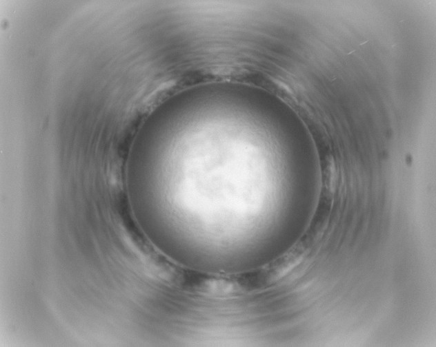 X0000088860272200706221732