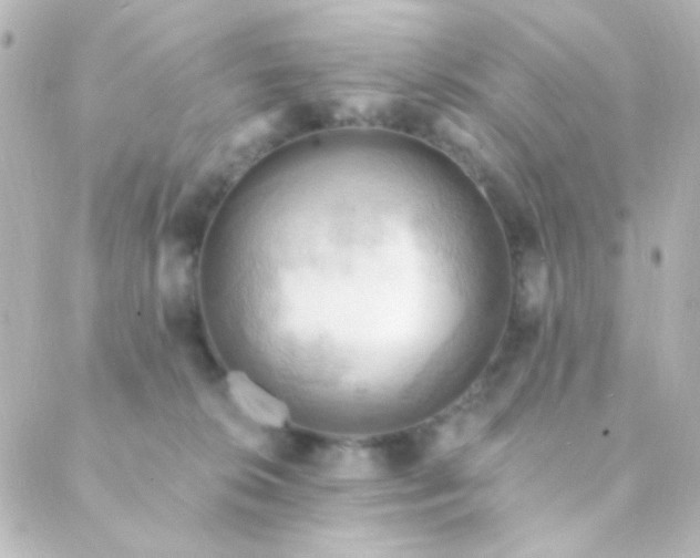X0000088860276200706221732