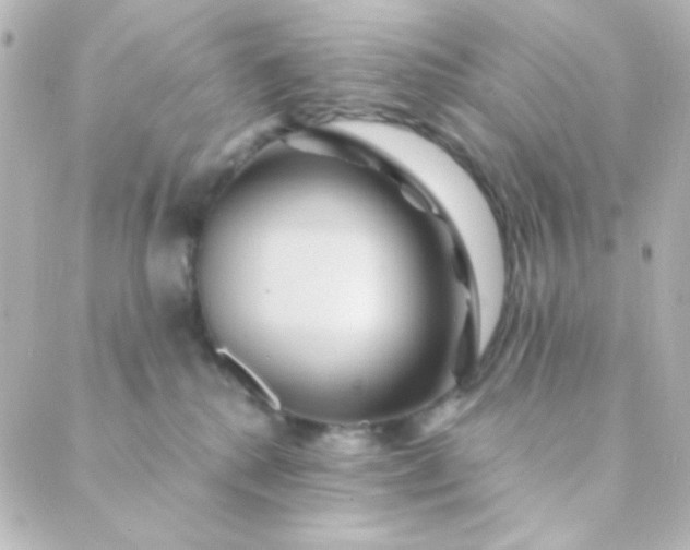 X0000088860280200706221732