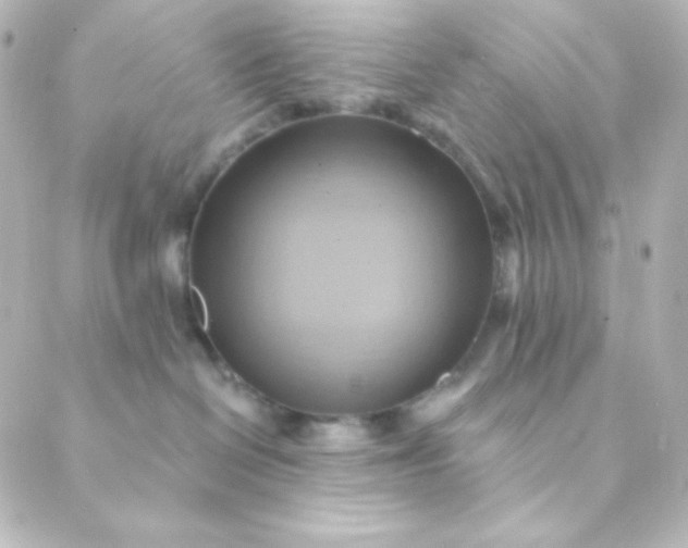 X0000088860286200706221732