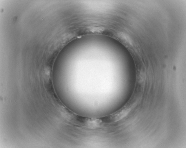 X0000088860321200706221731