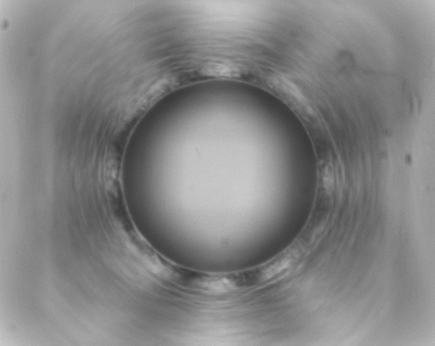 X0000088860322200706221731