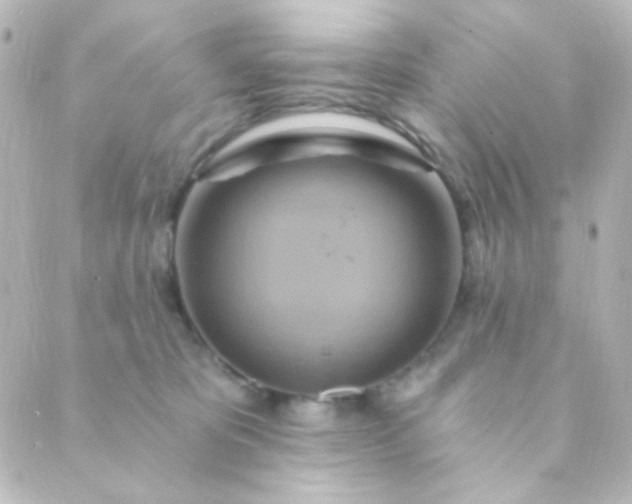 X0000088860325200706221731