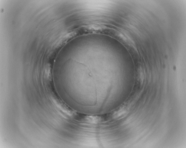 X0000088860328200706221731