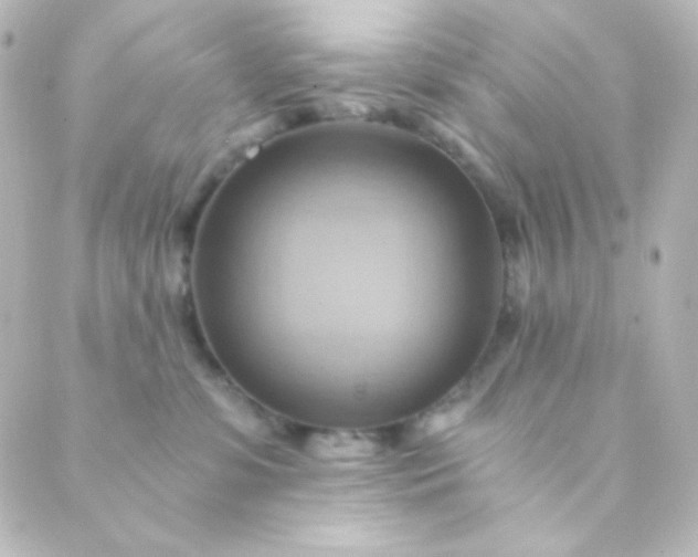 X0000088860331200706221731