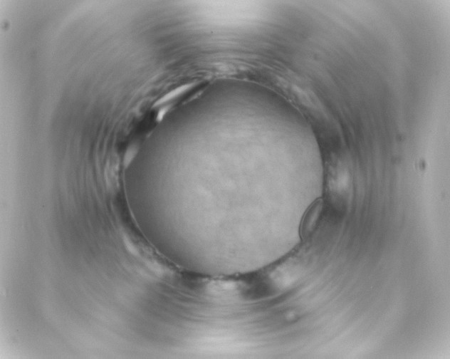 X0000088860332200706221731
