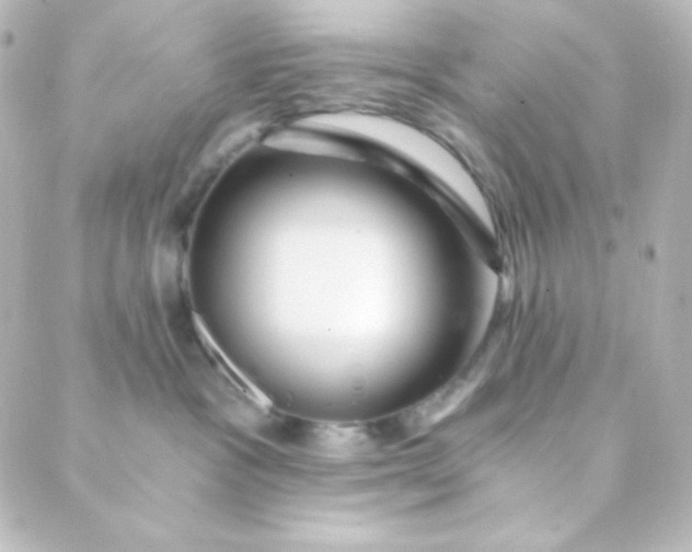 X0000088860333200706221731
