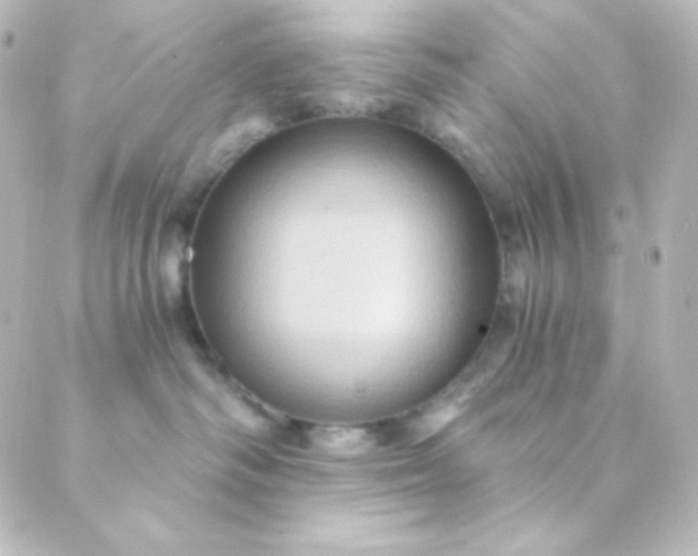 X0000088860334200706221731