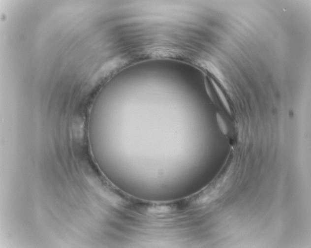 X0000088860357200706221731