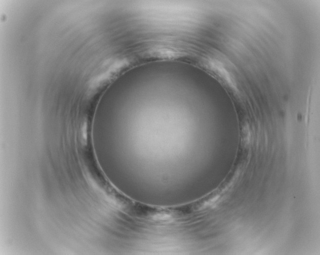 X0000088860358200706221731