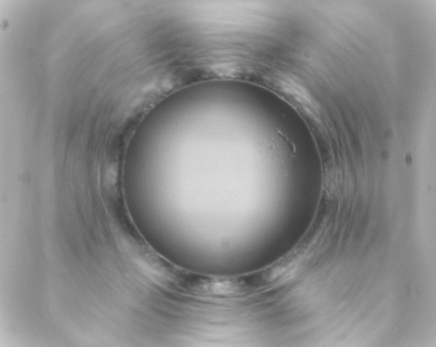 X0000088860365200706221731