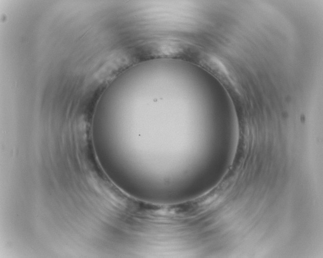X0000088860366200706221731