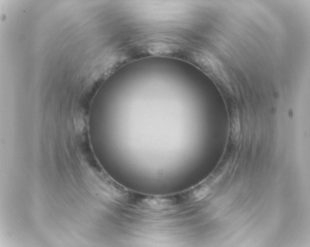 X0000088860367200706221731
