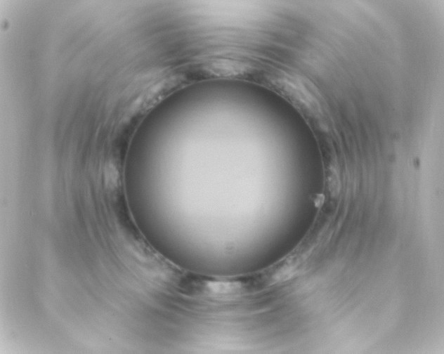 X0000088860371200706221731