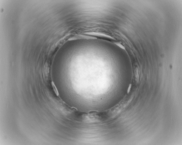 X0000088860372200706221731