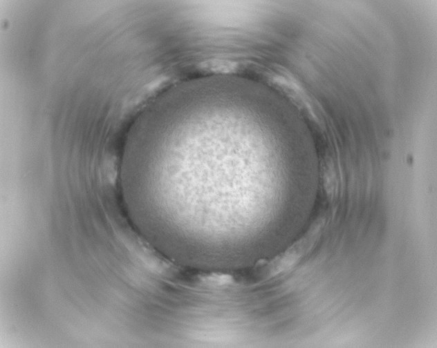 X0000088860374200706221731